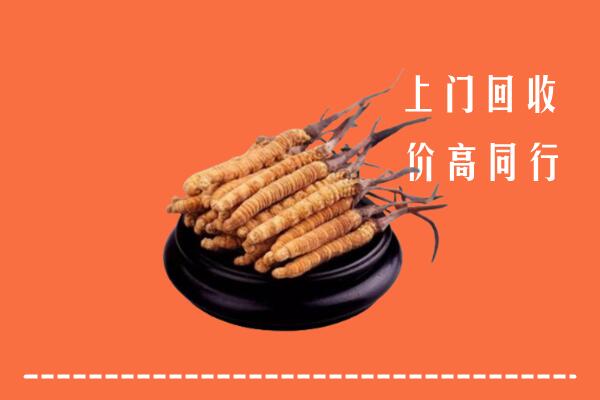 海南州回收散虫草